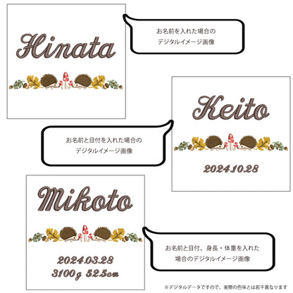 刺繍名入れ 1歳誕生日 一升餅 名前入りリュック・生成り・エリソン