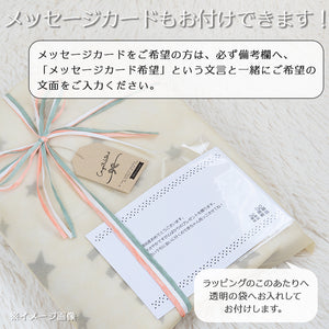 名前入りブランケット ちょうちょとねんねとスタイとミニハンカチのセット