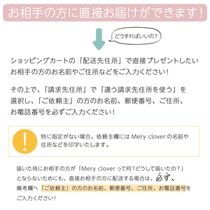 名前入りブランケット きっと、ないしょの物語・ルルとスタイとミニハンカチのギフトセット